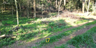 Terreno em Entre Rios do Sul - Foto 1 de 1