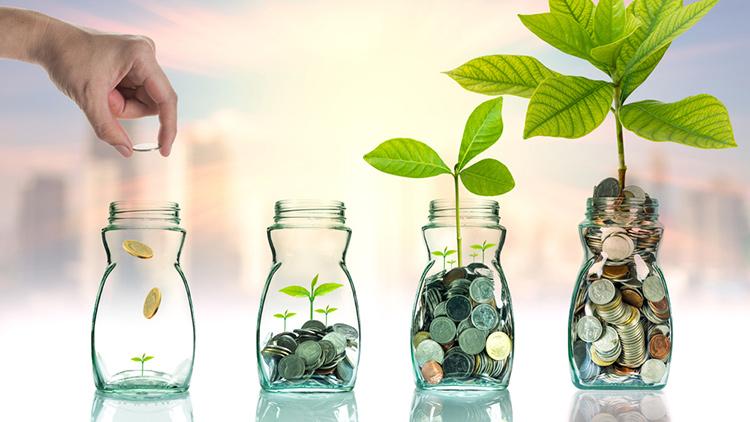 Dicas de Investimento 