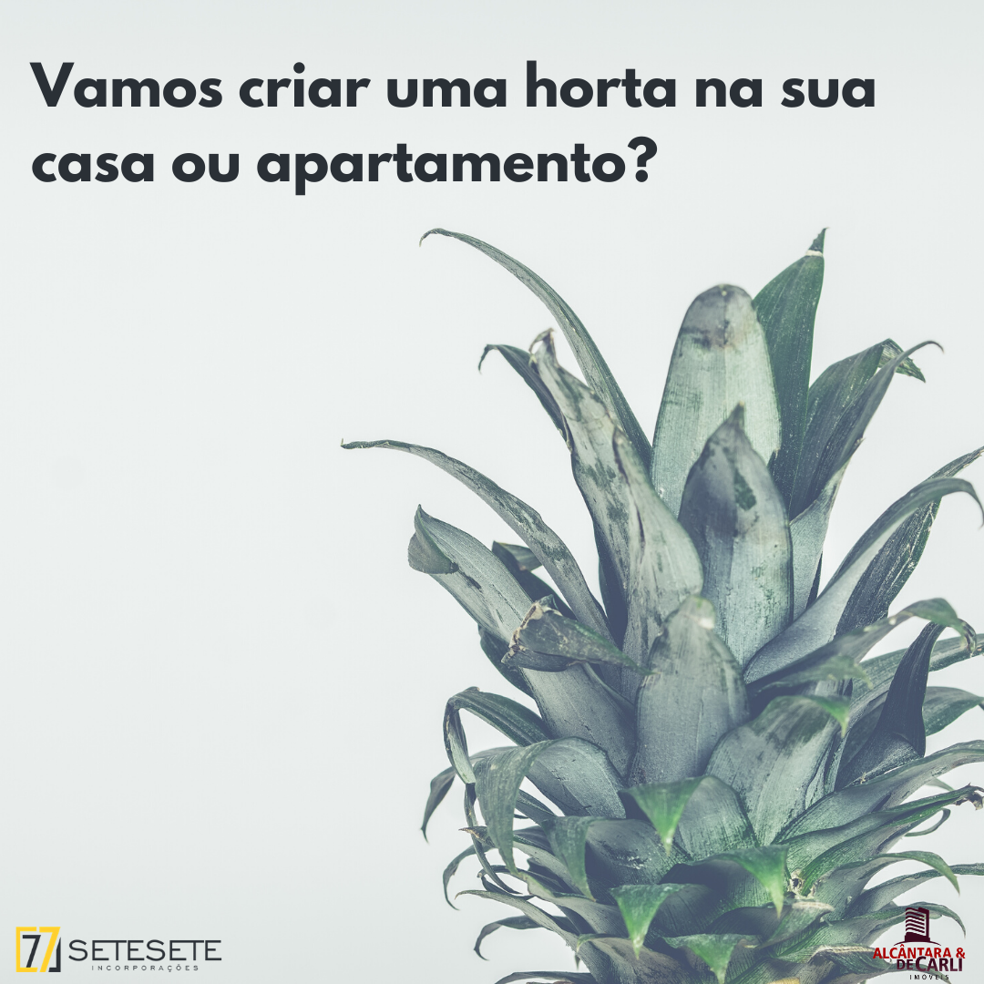 Horta em casa: uma conexão com a natureza durante o isolamento.